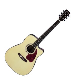 Ibanez Acoustic Electric Guitar