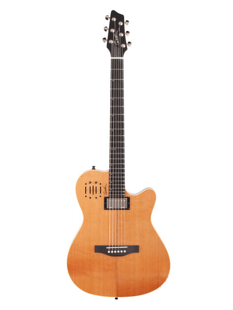 godin a6 ultra hard case