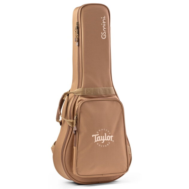 taylor gs mini hard case