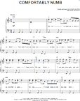 Comfortably Numb Easy Piano Zzounds