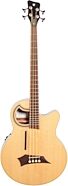 Warwick RockBass Alien Deluxe Thinline Acoustic-Electric Bass (with Gig Bag)