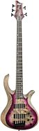 Schecter RIOT-5 5-String Electric Bass