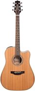Takamine GD20CE Acoustic-Electric Guitar