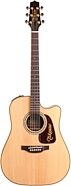 Takamine P5DC Pro Series Dreadnought Acoustic Guitar (with Case)
