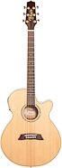 Takamine TSP138C Thinline Acoustic-Electric Guitar (with Gig Bag)