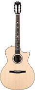 Taylor 814ce-N Grand Auditorium Classical Nylon Acoustic-Electric Guitar (with Case)