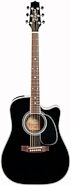 Takamine EF341SC Acoustic-Electric Guitar (with Case)
