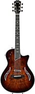 Taylor T5z Custom Electric Guitar (with Gig Bag)