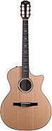 Taylor 814ce-N Grand Auditorium Classical Nylon Acoustic-Electric Guitar (with Case)