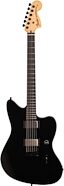 Fender Jim Root Jazzmaster Electric Guitar (with Case)