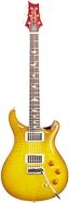 PRS Paul Reed Smith DGT Electric Guitar with Case (with Grissom Fingerboard)