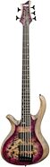 Schecter Riot 5 Electric Bass, Left-Handed (5-String)