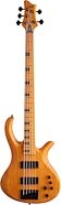 Schecter Session Riot 5 Electric Bass