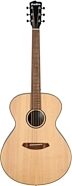 Breedlove ECO Discovery S Concerto Dreadnought Acoustic Guitar