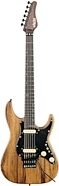 Schecter SVS Exotic Electric Guitar