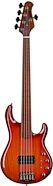 Ernie Ball Music Man BFR Fuego StingRay 5 Special Fretless Electric Bass Gutiar (with Case)