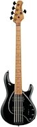Ernie Ball Music Man StingRay 5 Special HH Electric Bass (with Case)