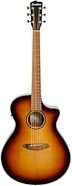 Breedlove ECO Discovery S Concerto CE Acoustic Guitar