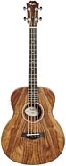 Taylor GS Mini-e Koa Bass Acoustic-Electric Bass (with Gig Bag)