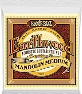 Ernie Ball Earthwood Medium Loop-End 80/20 4-String Mandolin Strings
