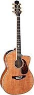 Takamine LTD 2022 60th Anniversary Acoustic-Electric Guitar (with Case)