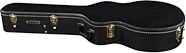Gretsch G6242L Falcon Armstrong CC Guitar Case
