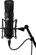 Warm Audio WA-87 R2 Large-Diaphragm Condenser Microphone