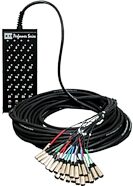 CBI 24x4 Audio Snake with Neutrik Connectors (XLR x 24, 1/4" TRS x 4)
