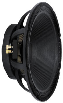black widow 15 inch speaker
