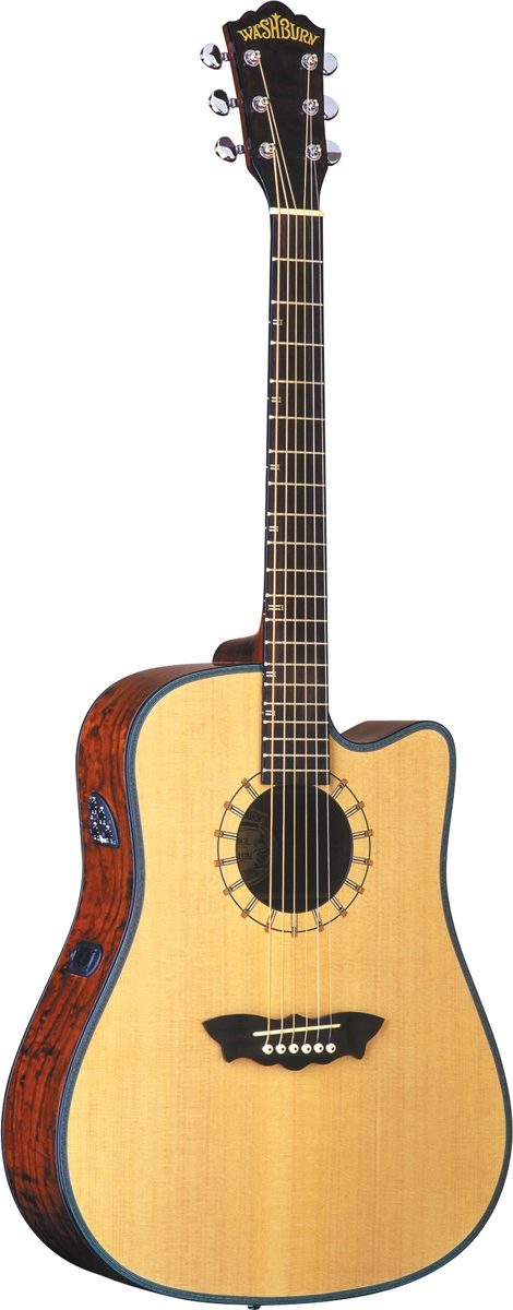 washburn d46 sce