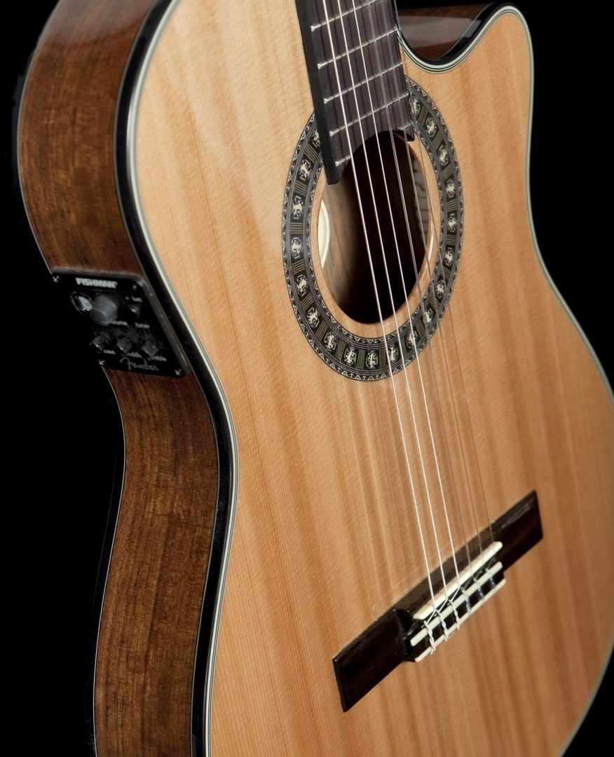 fender thinline acoustic electric guitar