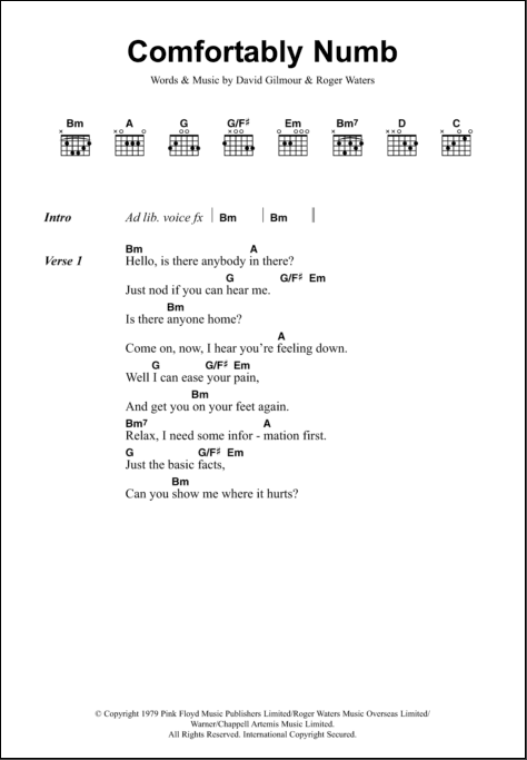 Comfortably Numb Guitar Chords Lyrics Zzounds