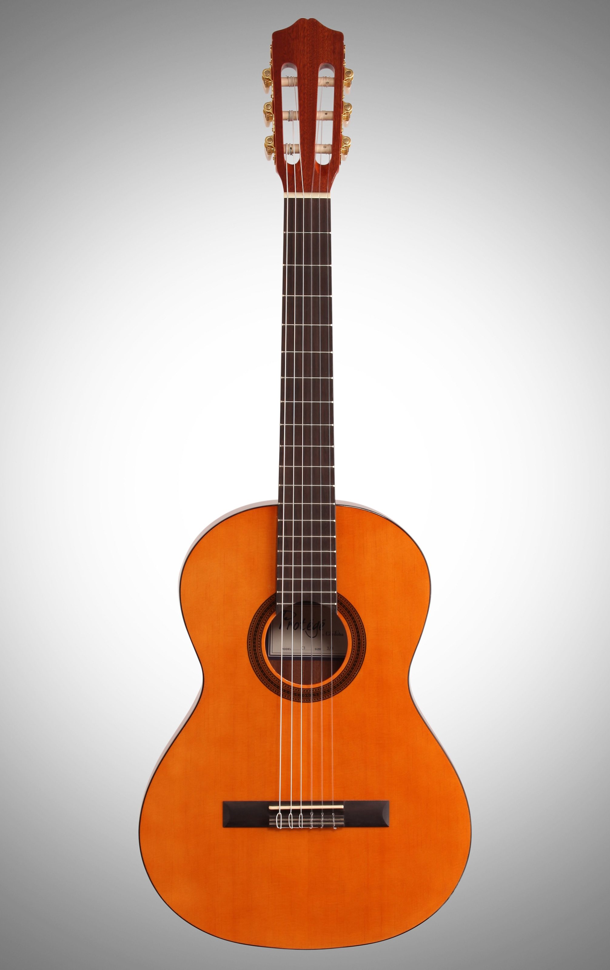 Full-size Cordoba Guitars C1M Acoustic Nylon String Guitar