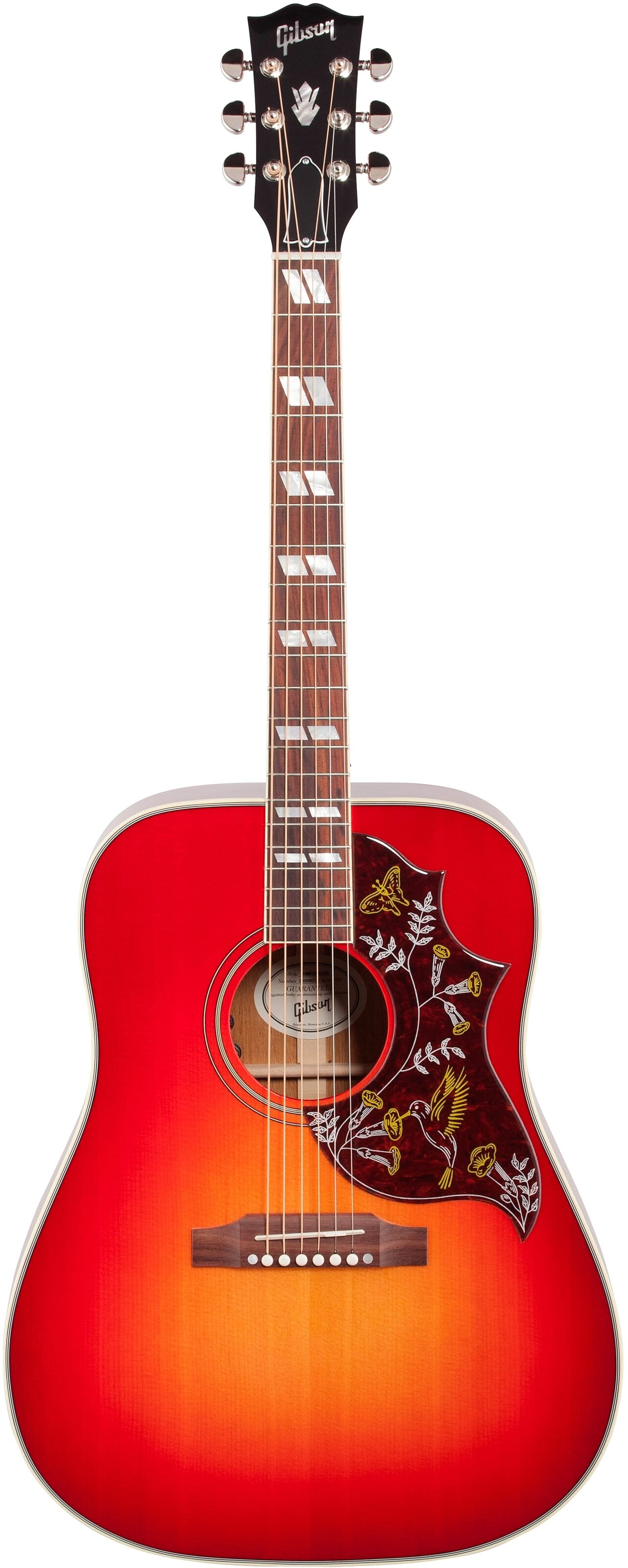 hummingbird guitar acoustic