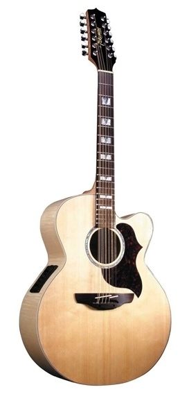 takamine jumbo acoustic