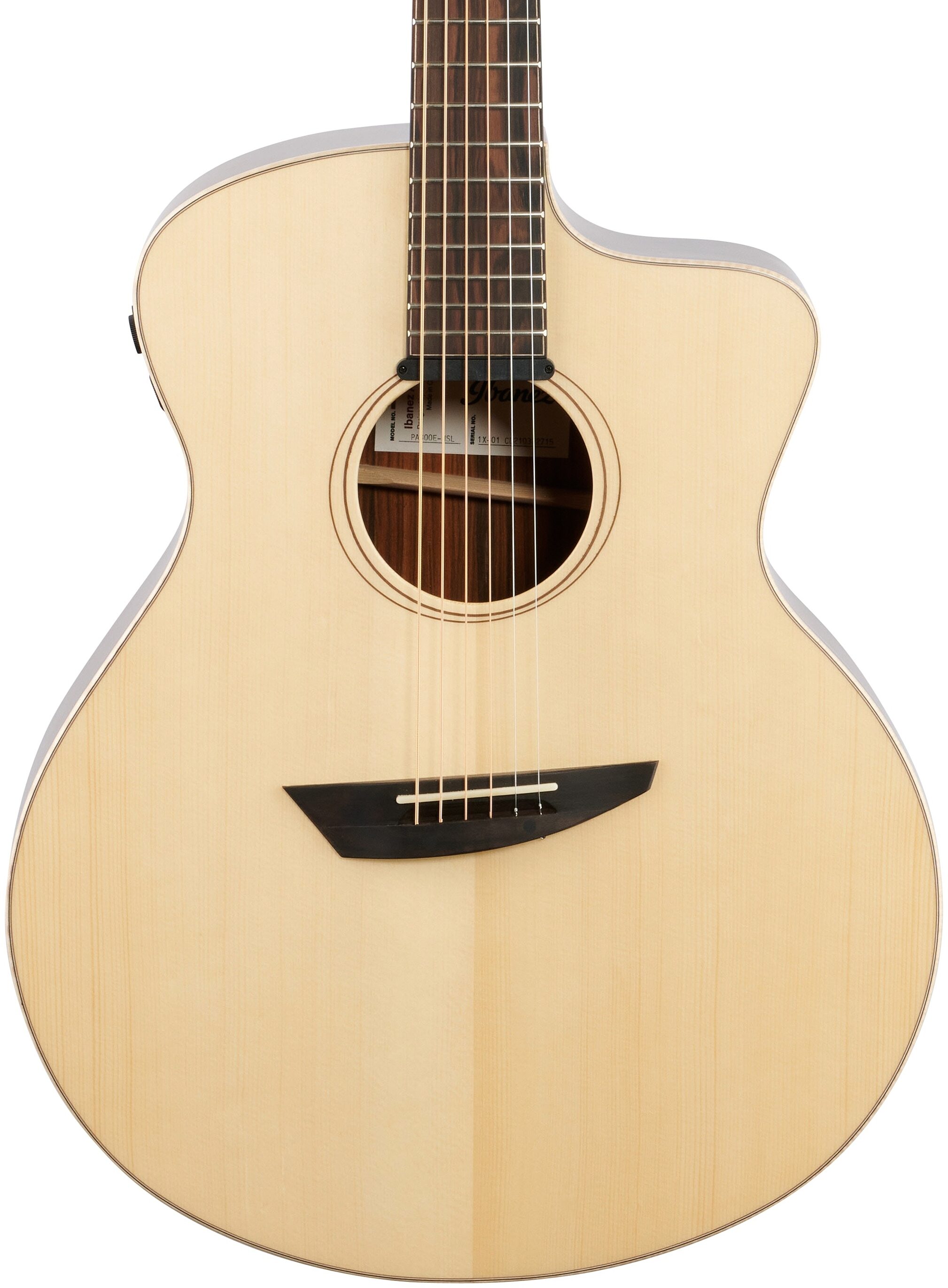 washburn wcg70sceg