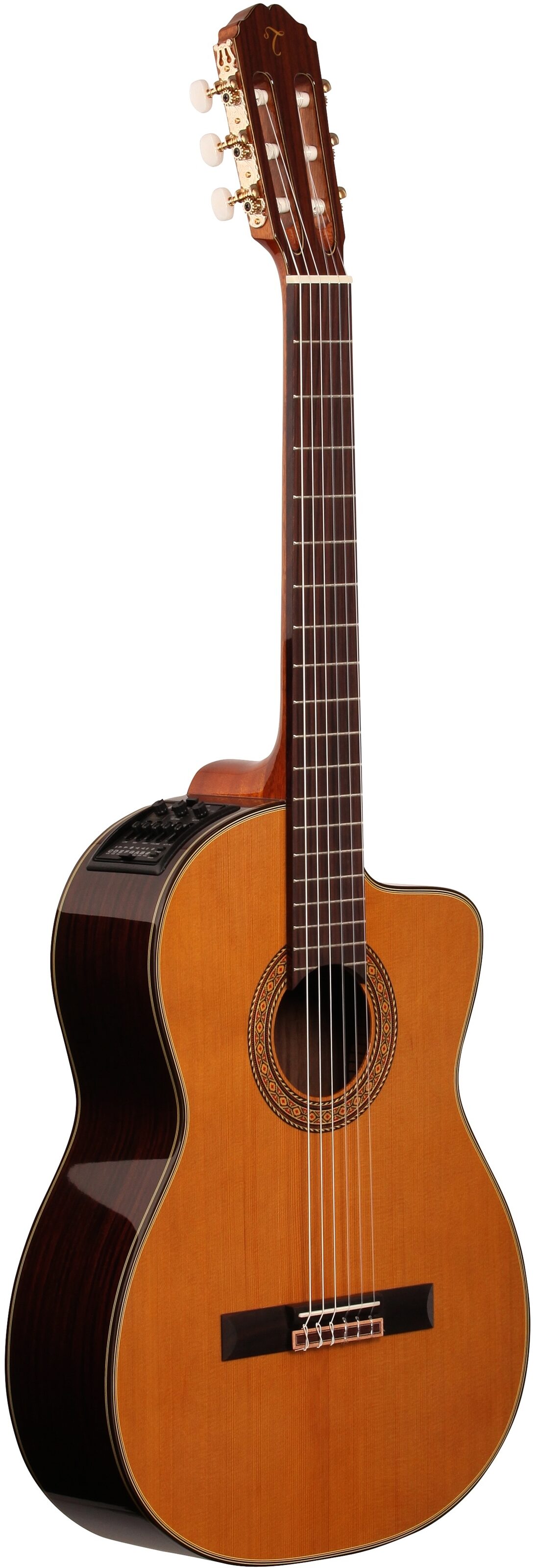 takamine tc 132 sc