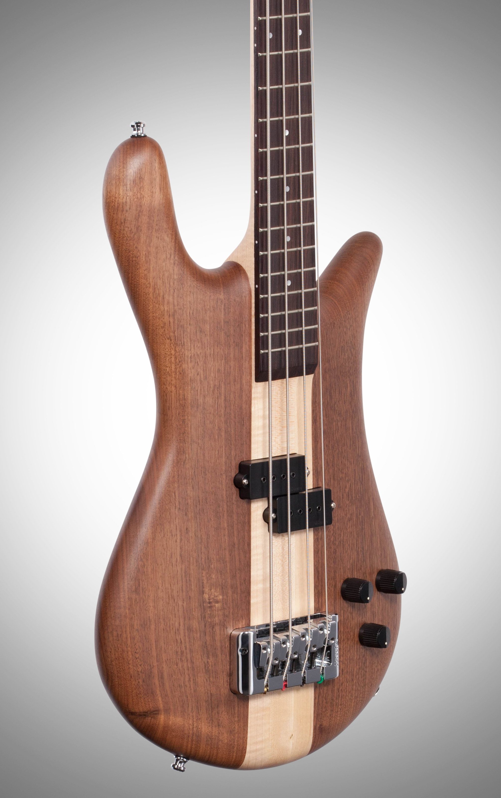 spector bass korean serial numbers