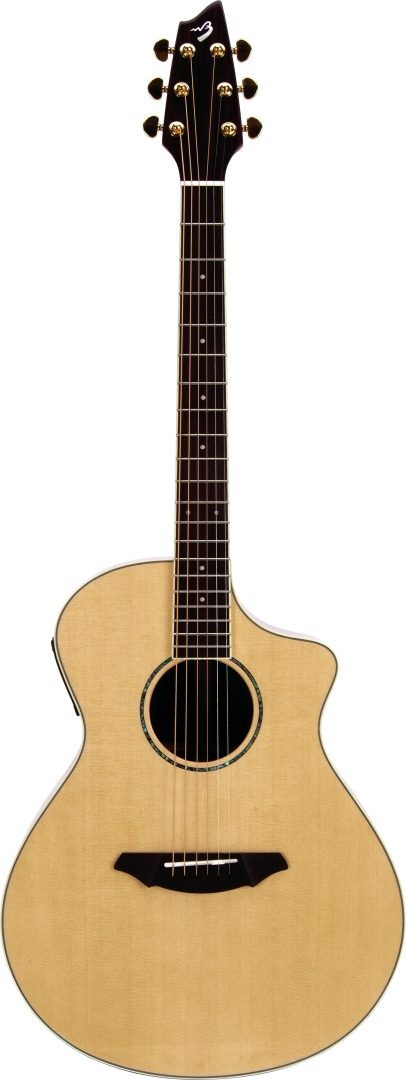 breedlove atlas ac25