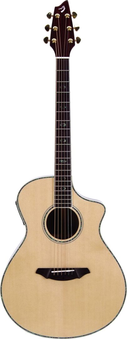 breedlove ac25sr