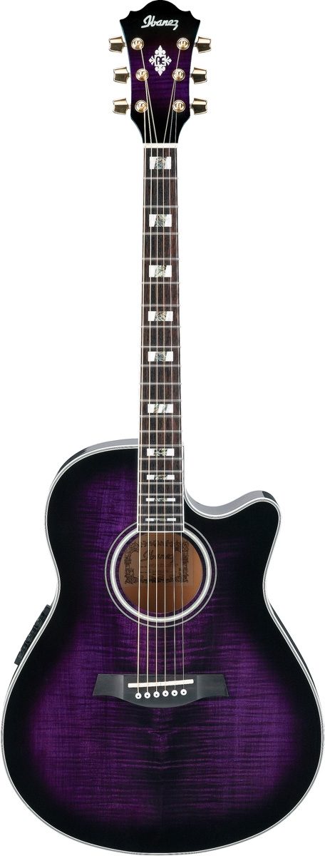 ibanez aef30etbk