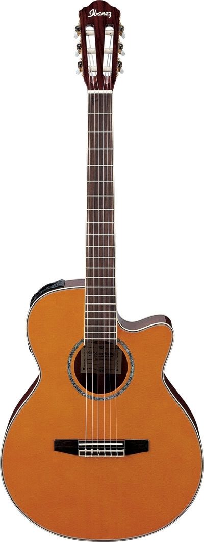 ibanez aeg10n