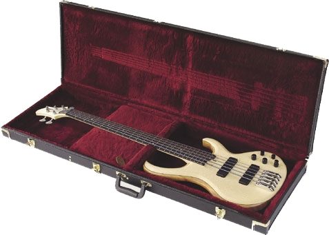 ibanez btb case