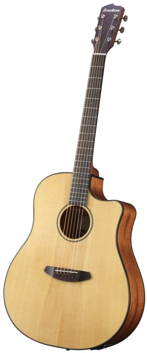 breedlove discovery dreadnought ce