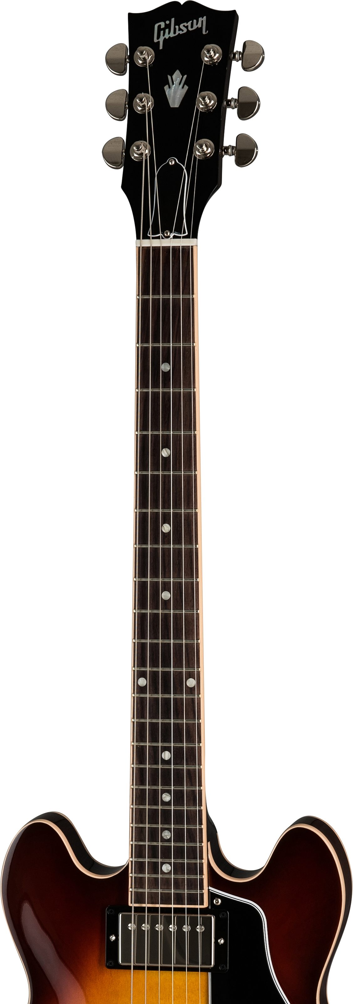 stingray classic 5