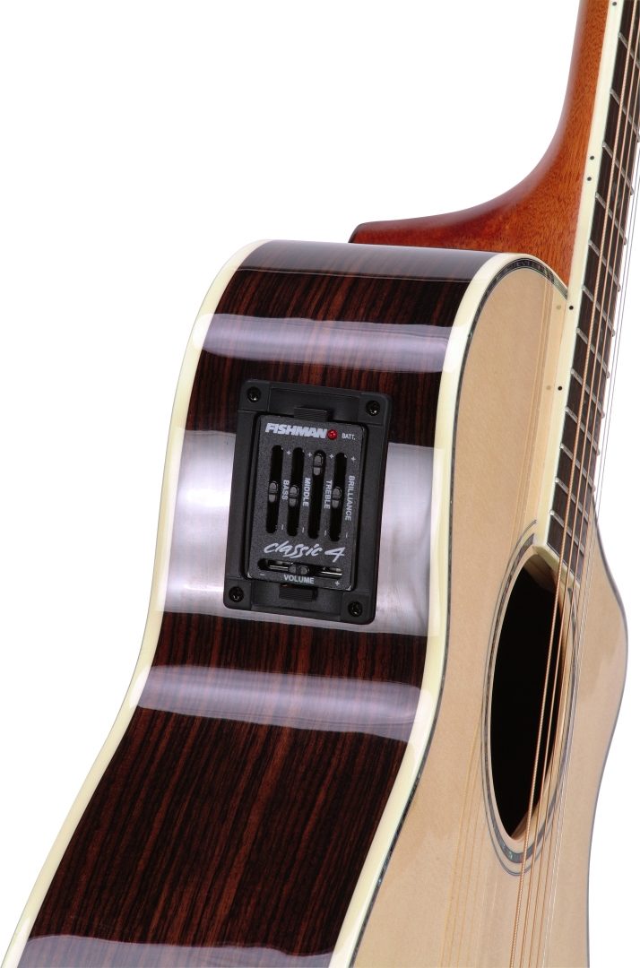 breedlove ac25sr