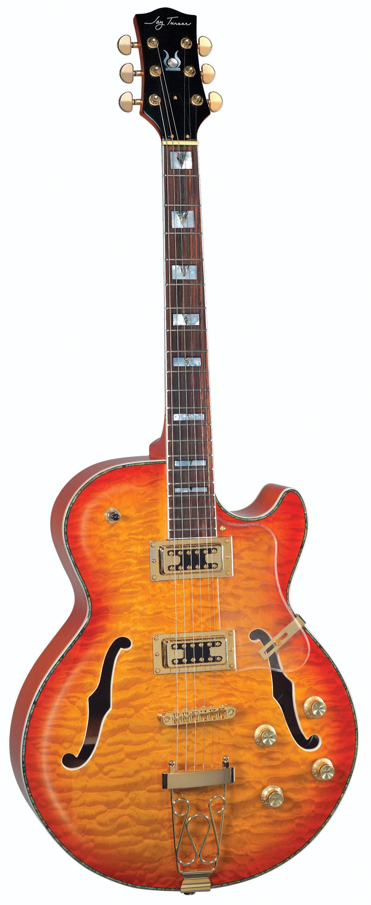 jay turser semi hollow guitar