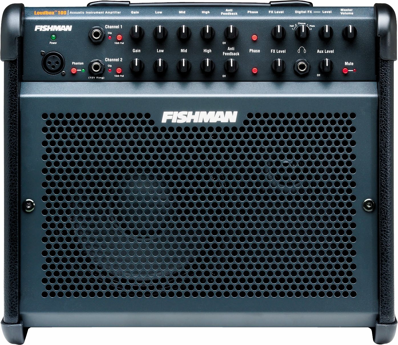 fishman 100 loudbox