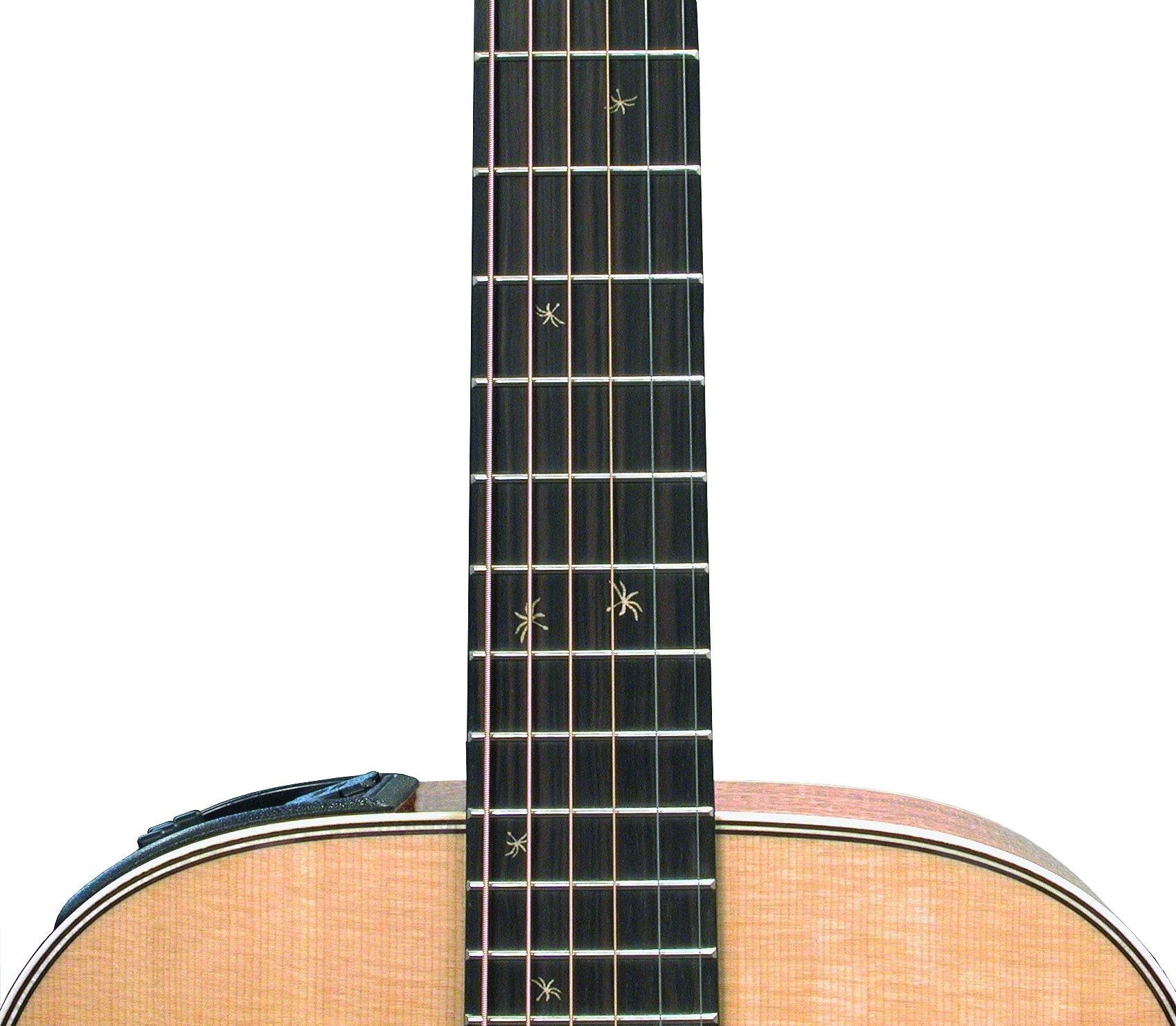 takamine 2005 ltd