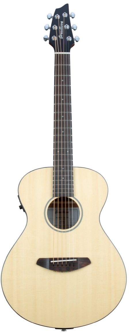 breedlove passport travel guitar